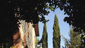 Un patio exterior con un arco de ladrillo, plantas en macetas y árboles altos.
