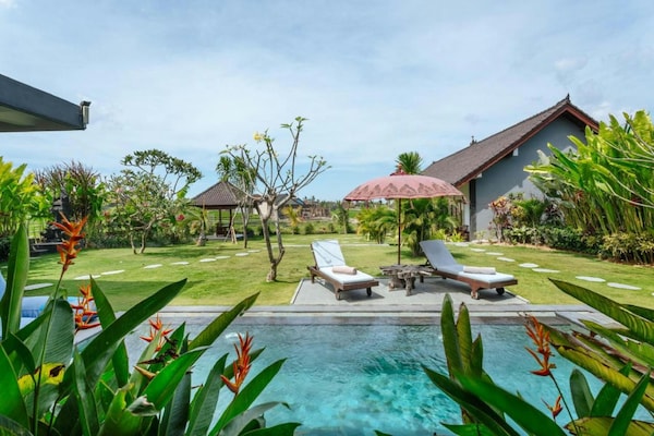 Carik Bali Guest House - Canggu