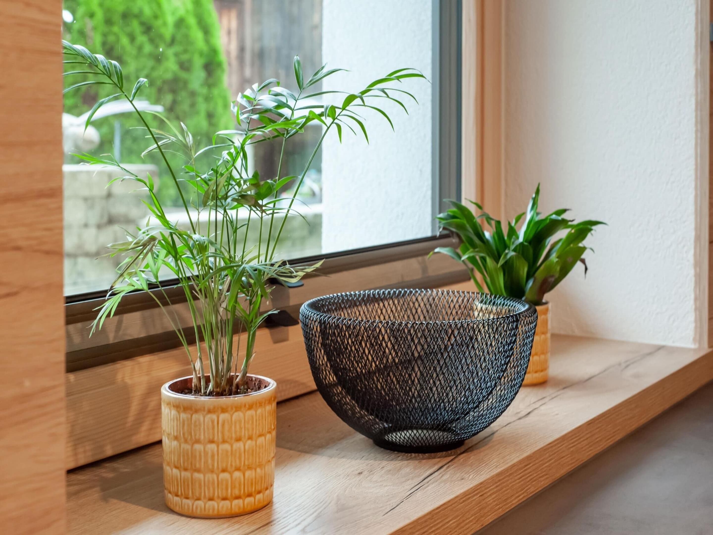 A window sill with two potted plants and a wire basket.