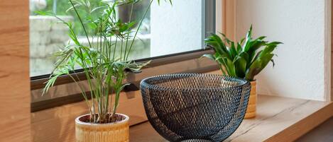 A window sill with two potted plants and a wire basket.