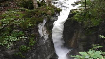 Una cascada se precipita por un acantilado rocoso, rodeada de exuberante vegetación.