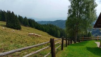 Ferienhaus | Außenbereich