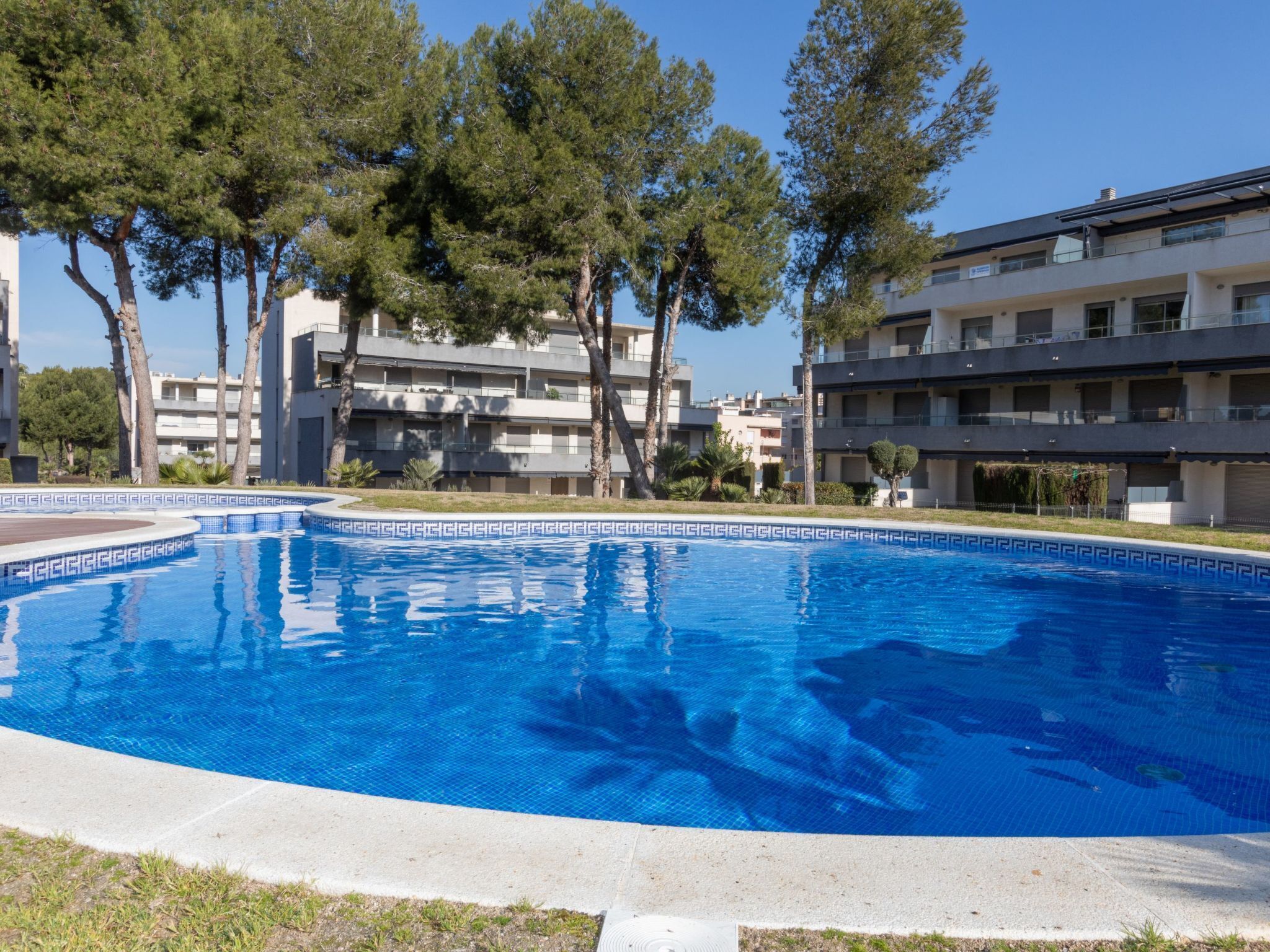 Piscina cercada por árvores e edifícios modernos.