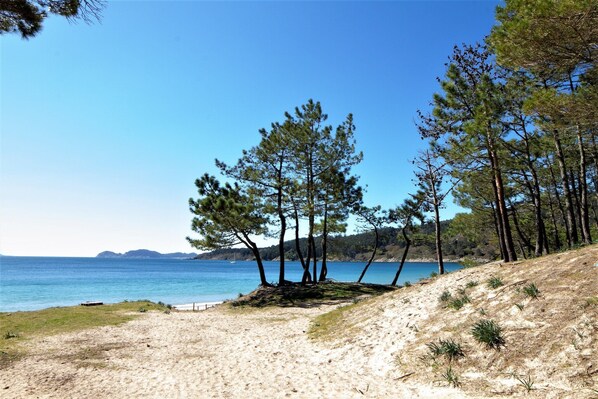 Una spiaggia nelle vicinanze