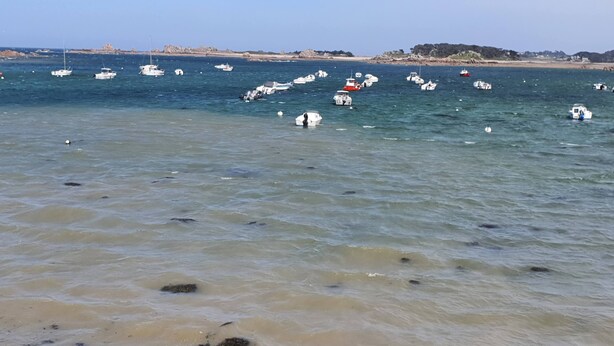 Uma área costeira com barcos ancorados na água e uma praia arenosa em primeiro plano.