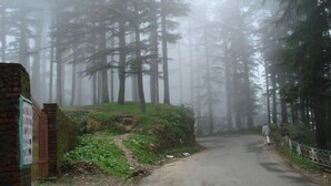 Unclassified image, 3 of 34, button - THE KANATAL ARBOUR (Tehri)