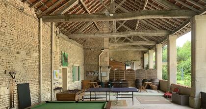 Les Vieilles Ombres - La Vigne