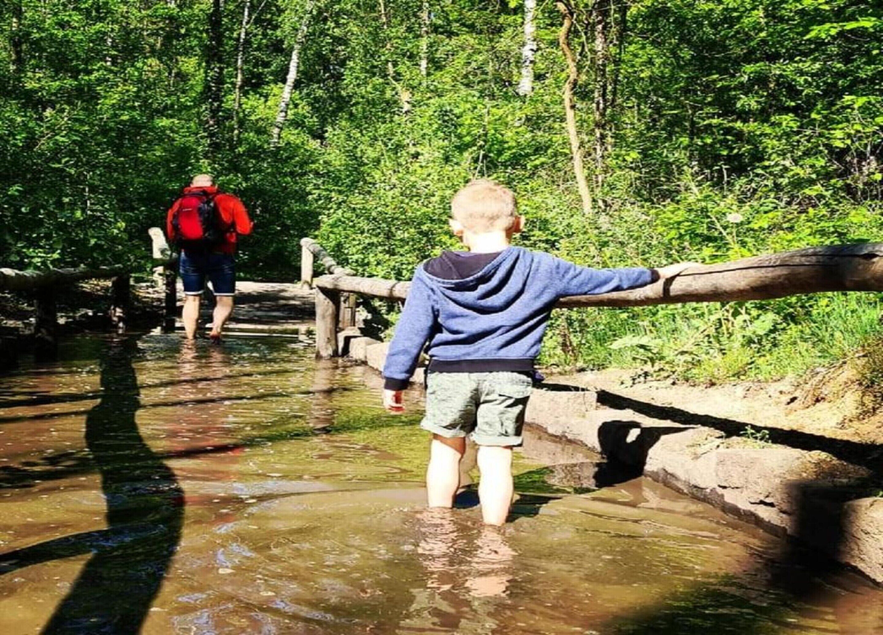 A person standing on a wooden bridge over a stream in a forested area.
