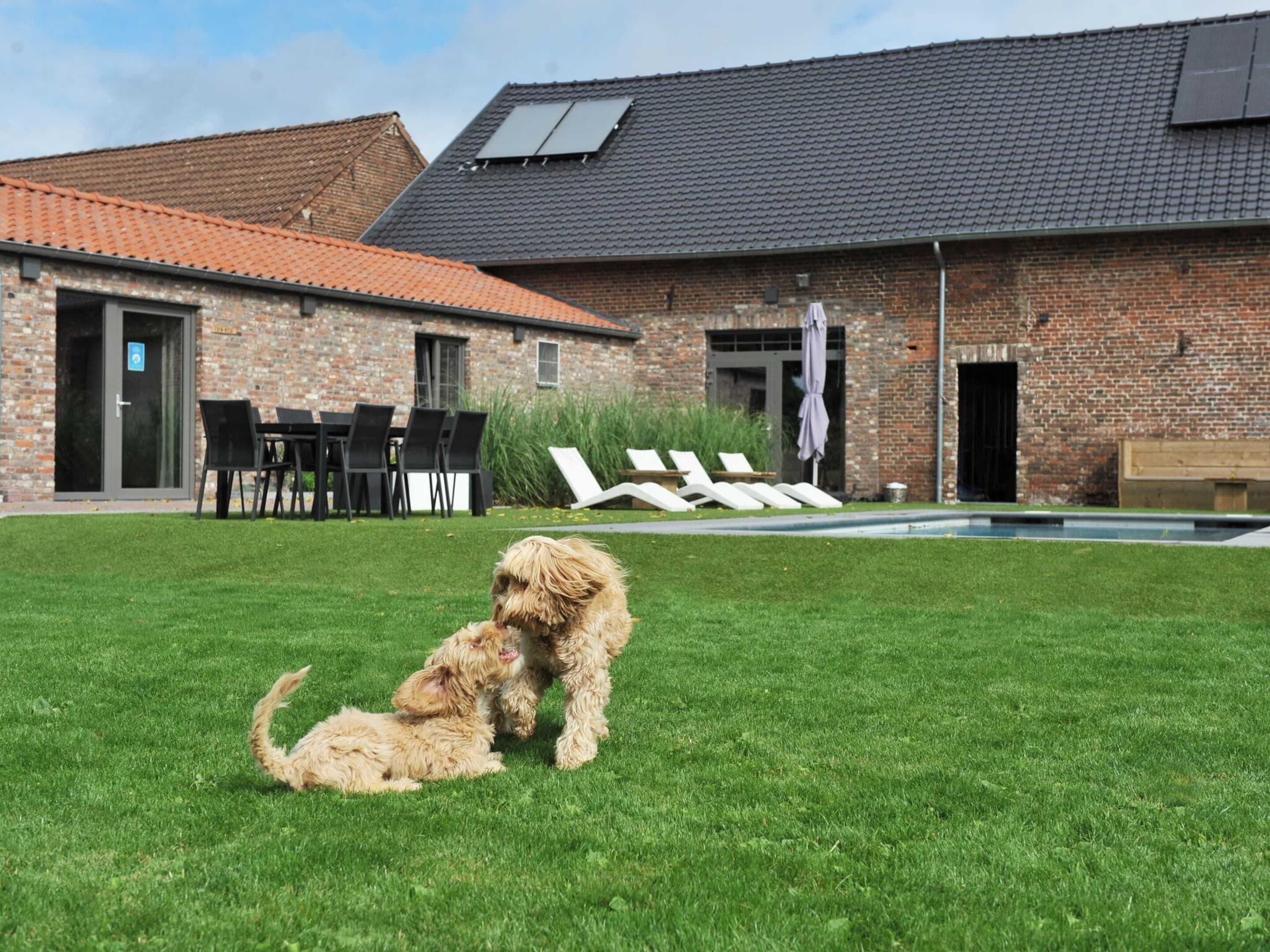 A brick building with a tiled roof, a swimming pool, and outdoor seating.