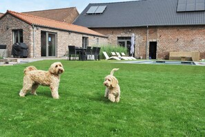 Cottage | Garden - Vlaanderen Cozy Cottage (Maasmechelen)