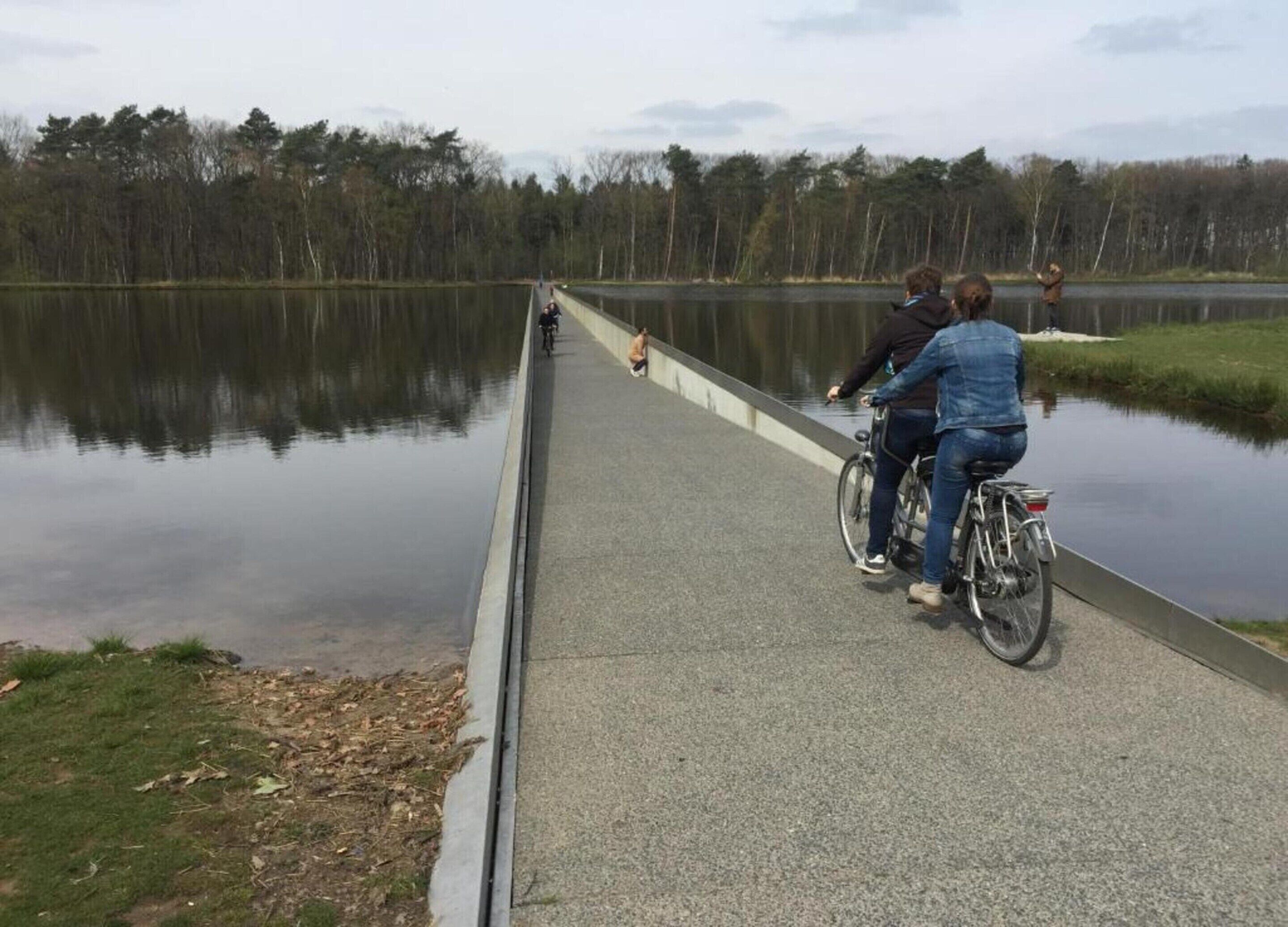 Un sentier pavé longe un lac paisible, avec des arbres en arrière-plan.