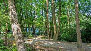 A forested area with a gravel path, a metal fence, and a small stream. - Welcoming Chalet in Rekem Tucked in Nature (Lanaken)