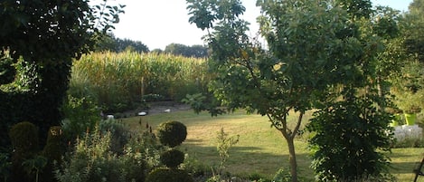 House | Garden