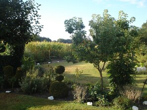 Um jardim com diversas plantas, gramado e uma árvore.