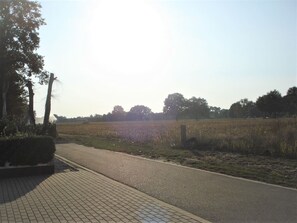 Rumah | Pemandangan dari properti