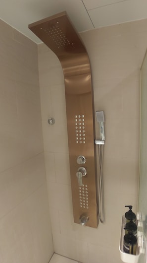 Regadera, secadora de cabello, toallas, shampoo