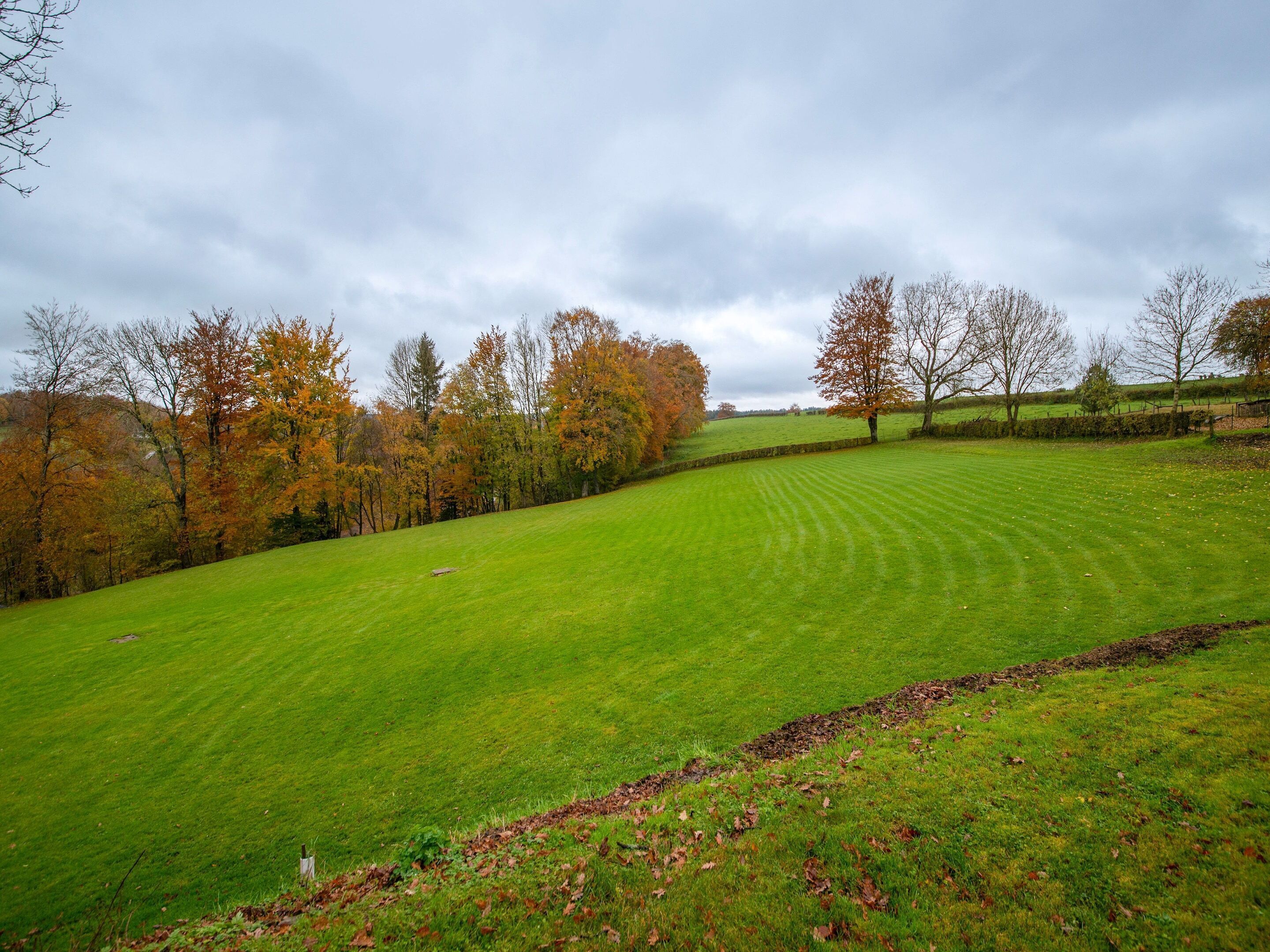 A grassy field with trees in autumn colors, a stone wall, and a cloudy sky.