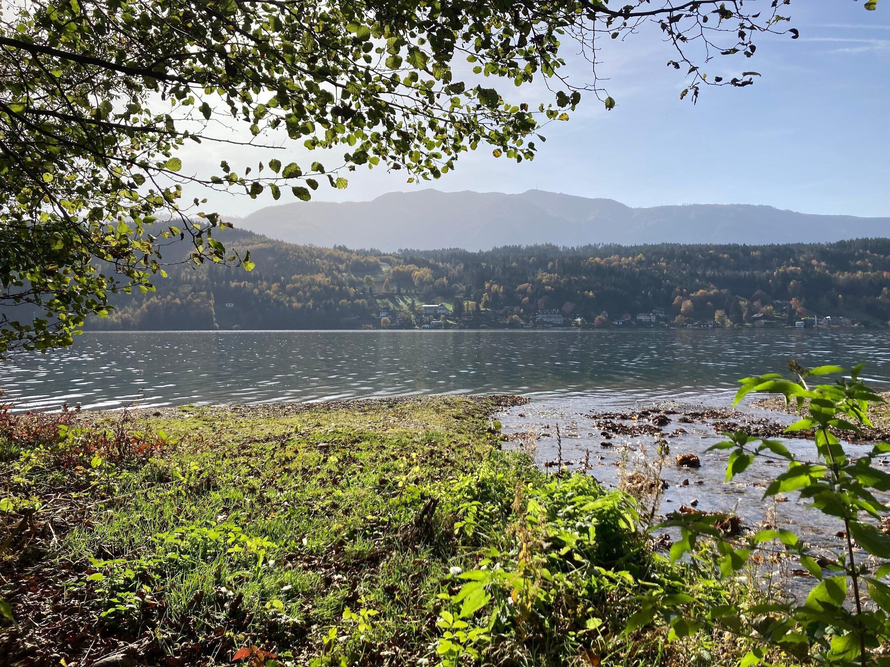 A lakeside view with a forested hillside and a clear sky.