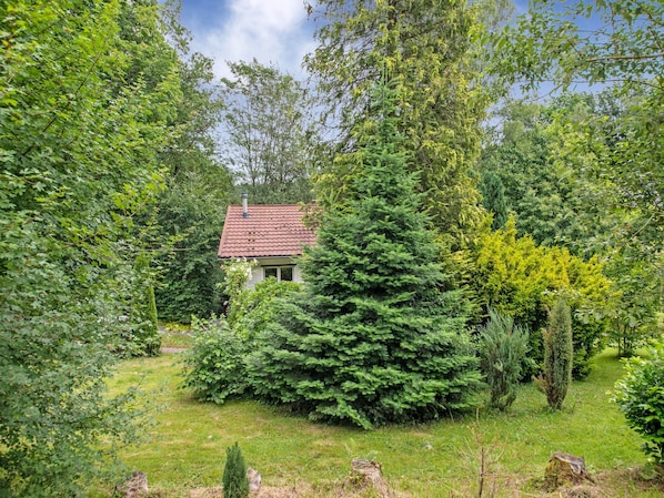 A house surrounded by dense greenery, including various trees and shrubs.