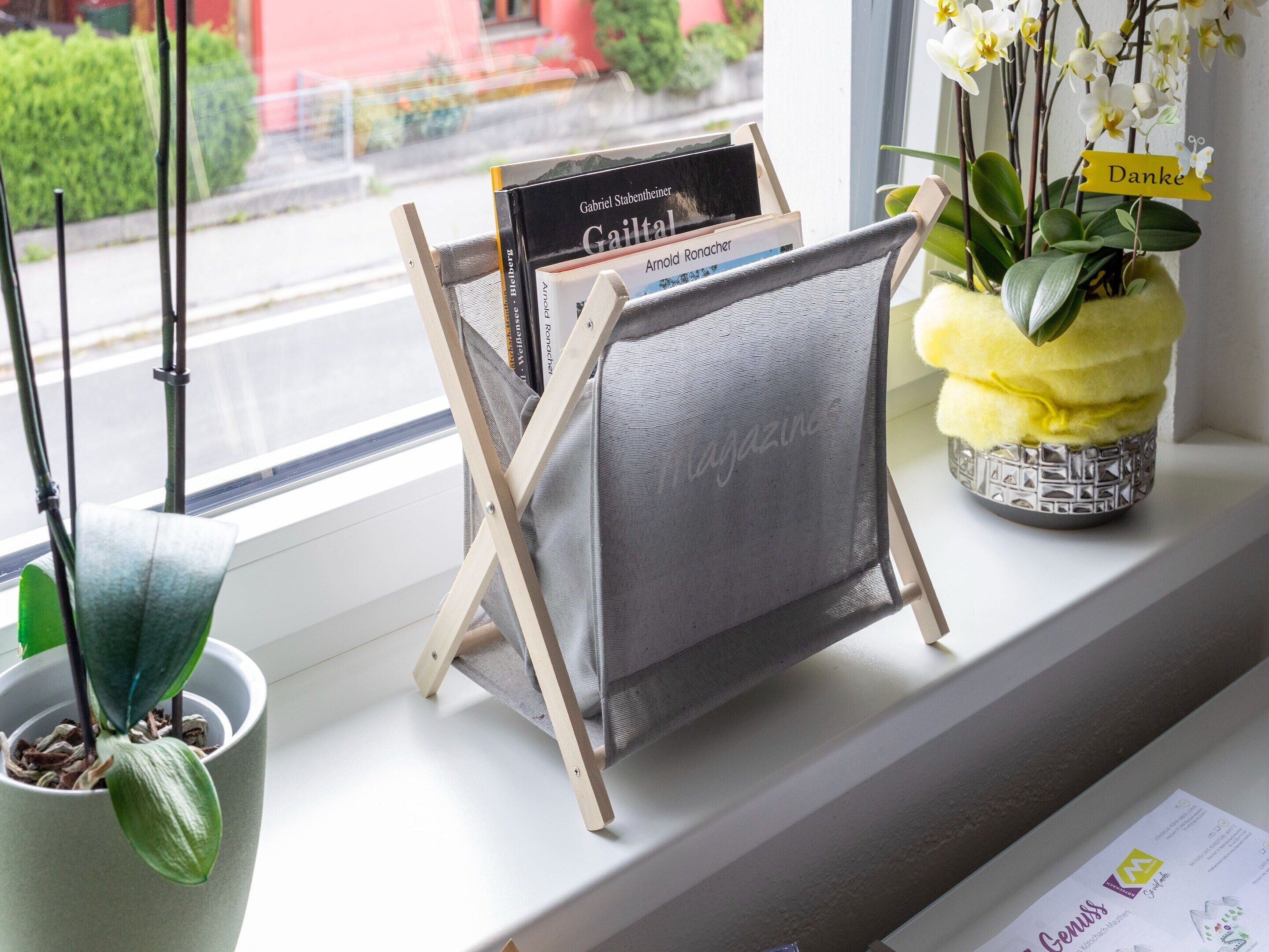 A magazine rack with books, a potted plant, and a window view.