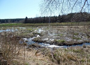 Apartemen | Pemandangan dari properti