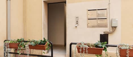 A building entrance with a door, a window with a light fixture, and potted plants on the ground.