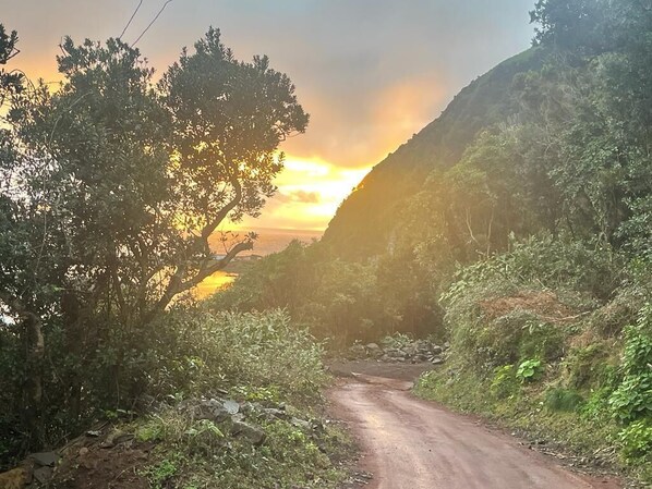 A narrow, unpaved road flanked by dense vegetation and hills.