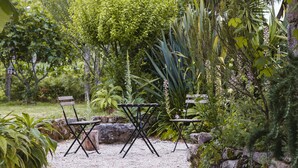 A garden with a table and chairs, surrounded by various plants and trees. - One of two private and intimate casitas. Surrounded by nature. (Moraña)