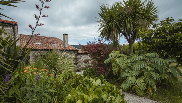 A garden with a stone building, a gravel path, and various plants. - One of two private and intimate casitas. Surrounded by nature. (Moraña)