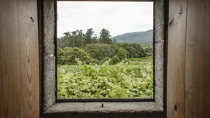 A window with a view of a lush green landscape, including trees and hills. - One of two private and intimate casitas. Surrounded by nature. (Moraña)