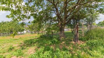 Huis | Uitzicht vanuit accommodatie