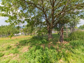 Casa | Vista dalla struttura