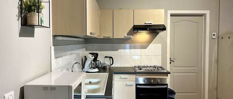 A modern kitchen with built-in appliances, wooden cabinets, and a small potted plant on the wall.