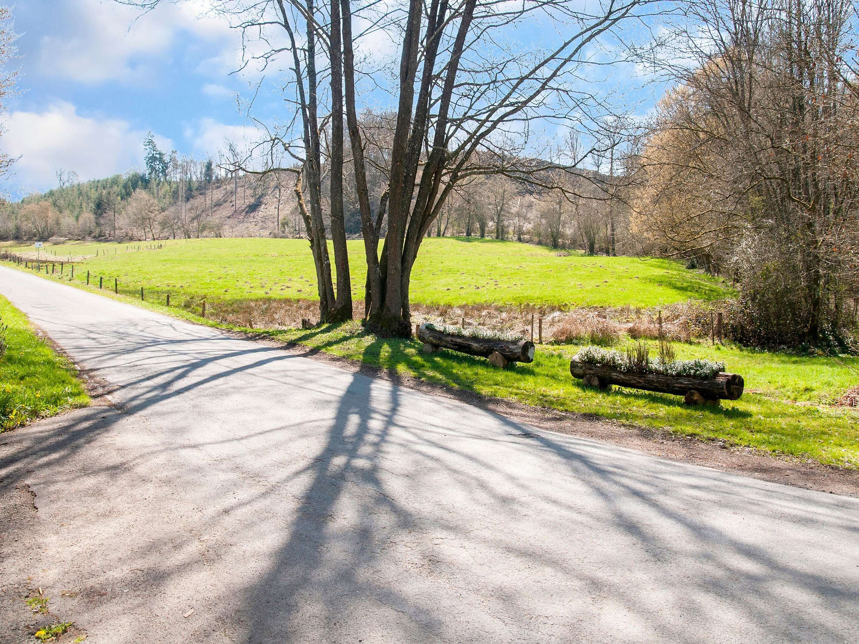 A rural road with trees and a grassy field.