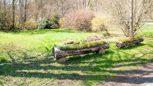 A natural landscape with a log bench, trees, and a grassy area. - Cozy Country Stay, Stoumont (Stoumont)