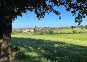 Cottage | View from property