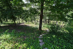 Ferienhaus | Blick von der Unterkunft