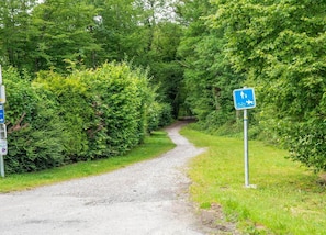 House | Pemandangan dari hartanah