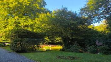 Nhà gỗ | Quang cảnh nhìn từ nơi lưu trú