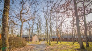 A gravel path leading through a wooded area with several cabins. - Chalet Le Beau Renard, Heure (Somme-Leuze)