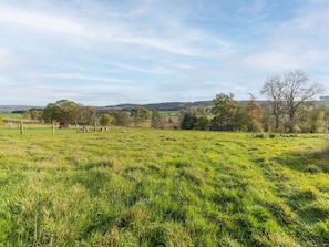 A grassy field with trees and a fence in the background. - Farmhouse Kalys in Vielsalm With 180° View of the Forest (Vielsalm)