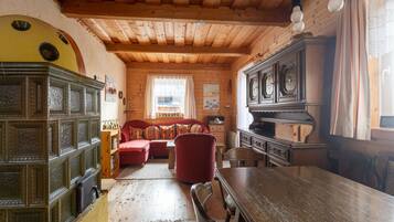 House | Living room | Fireplace