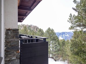 House | View from property - Chalet in Turracher Hohe Near Ski Slopes (Reichenau)