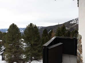 House | View from property - Chalet in Turracher Hohe Near Ski Slopes (Reichenau)