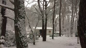 Bungalow | Ngoại thất