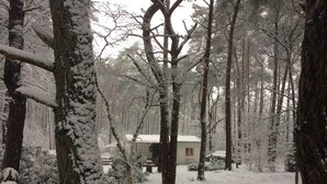 A snow-covered forest with a small building in the distance. - Gierle Garden Bungalow Escape (Lille)
