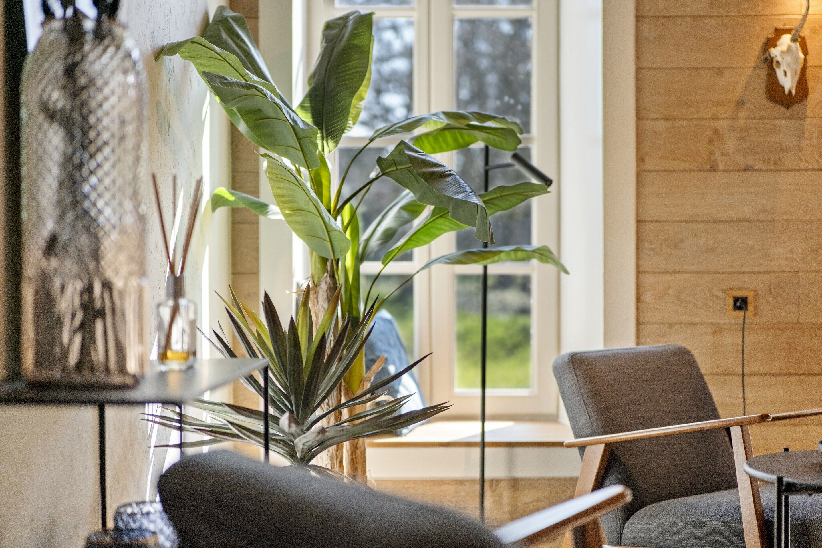 A modern living room with a large plant, a grey armchair, and a wooden wall.