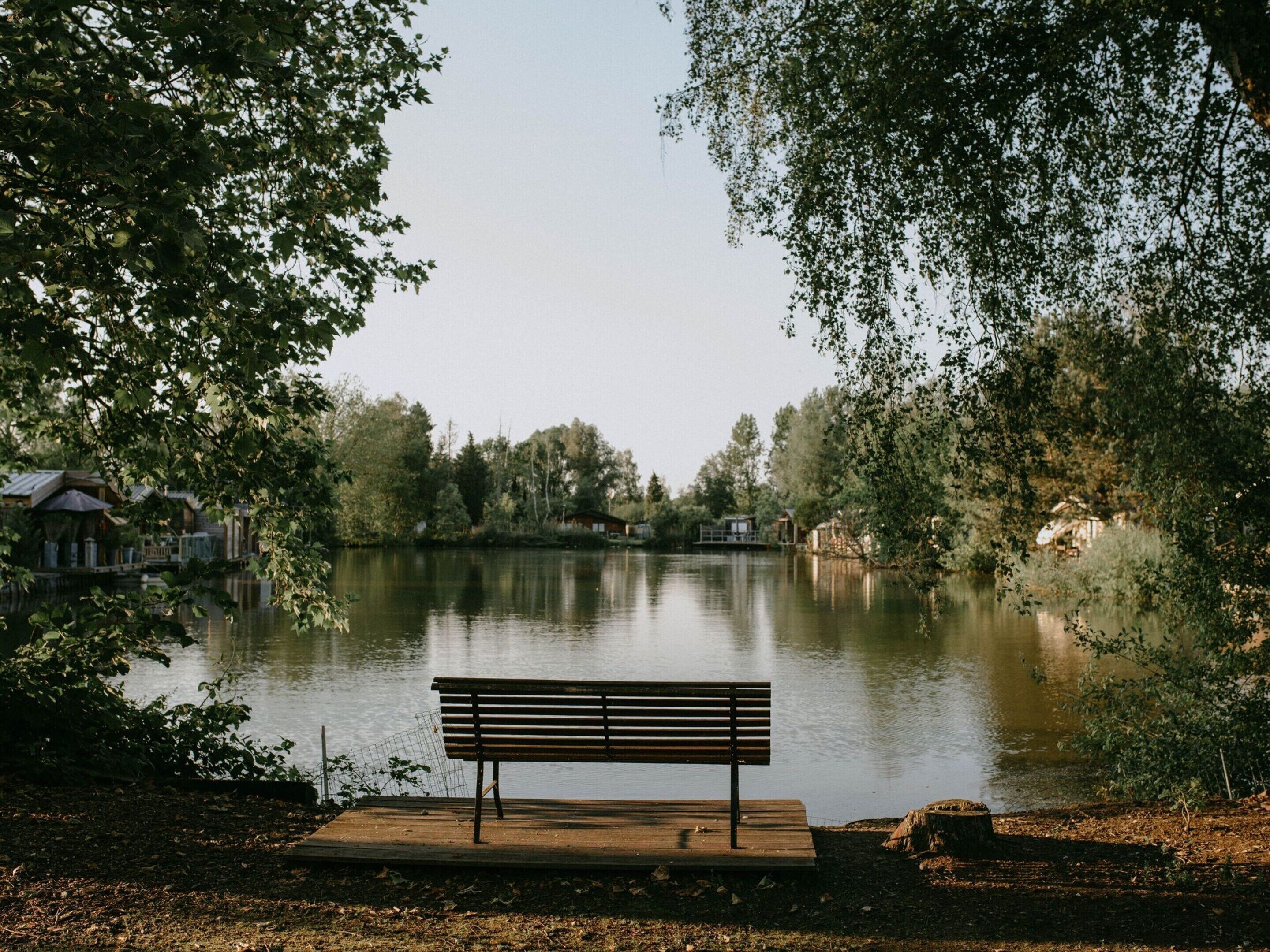 A wooden bench by a calm lake with houses in the background.
