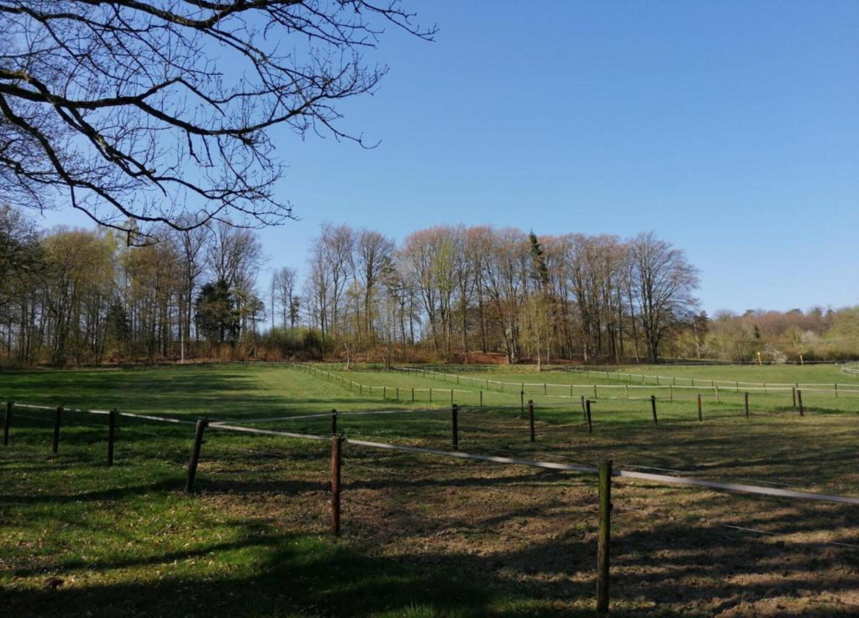 Un prato erboso con una recinzione e alberi sullo sfondo.