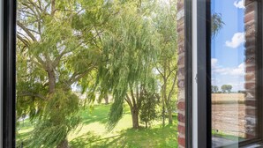 Vista a través de una ventana: muro de ladrillo, césped y árboles.
